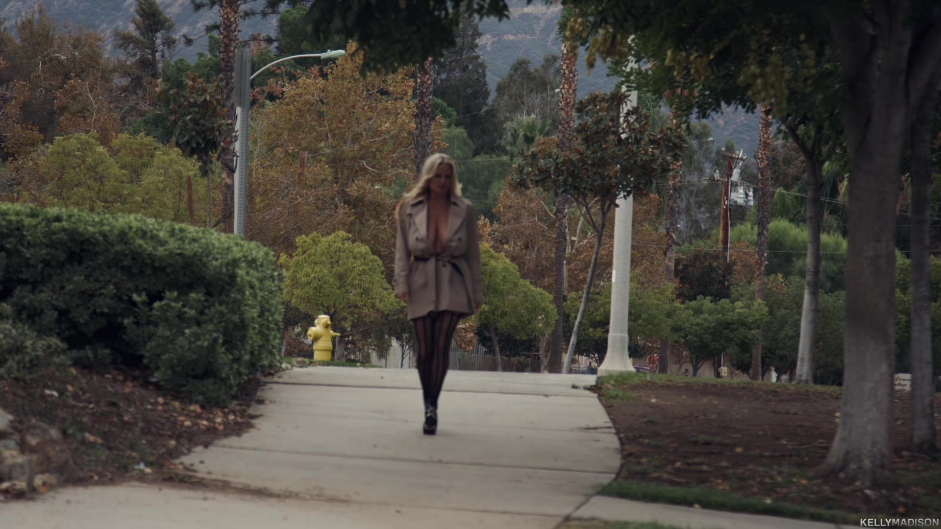 Flasher - Starring: Kelly Madison - PornFidelity