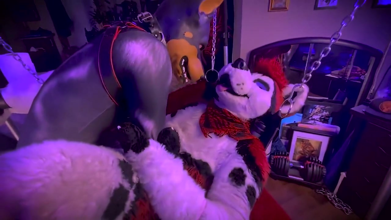 Fursuit Sling Fuck