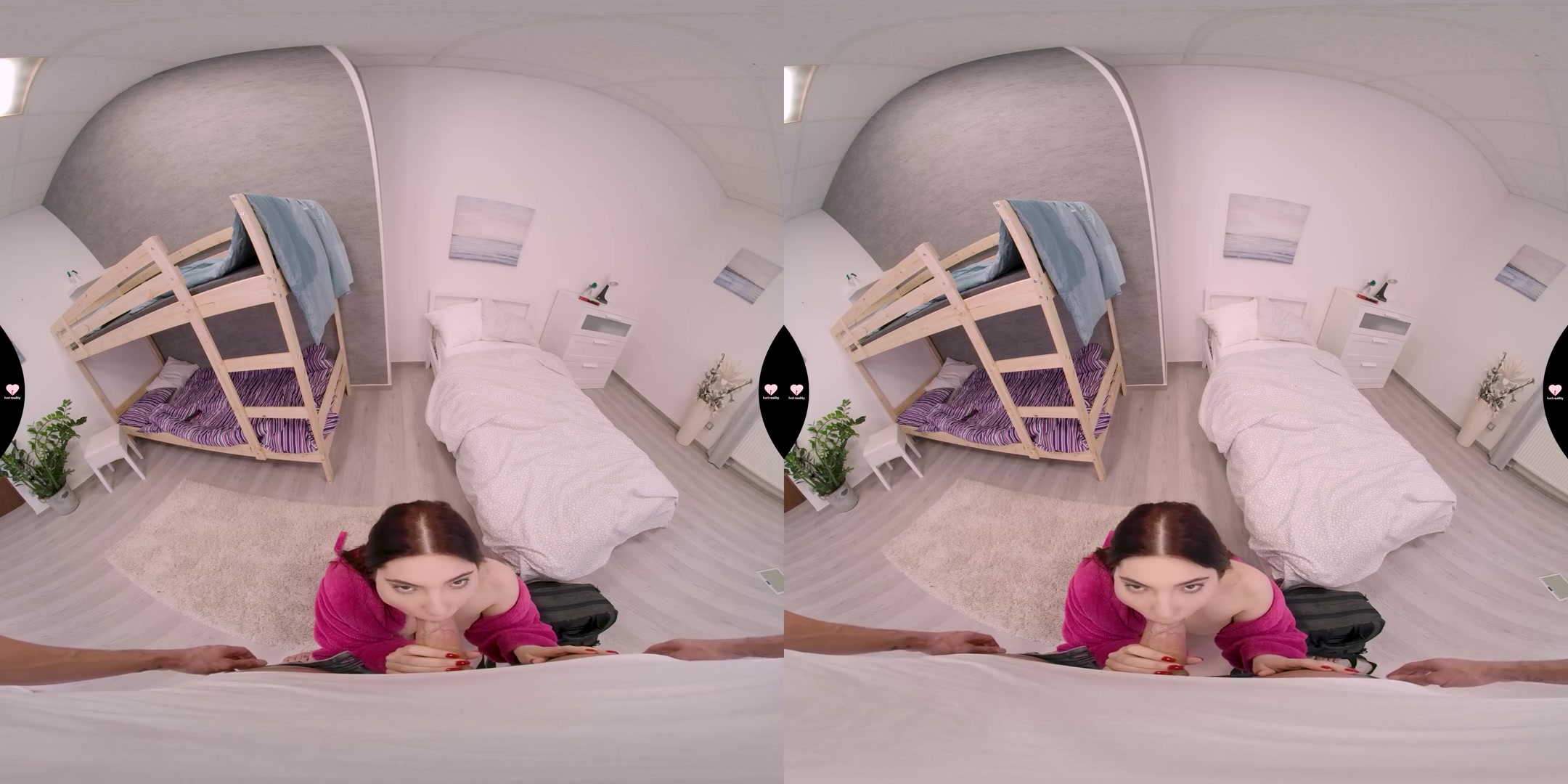VR Hostel 3 - This Is My Room, Fucker