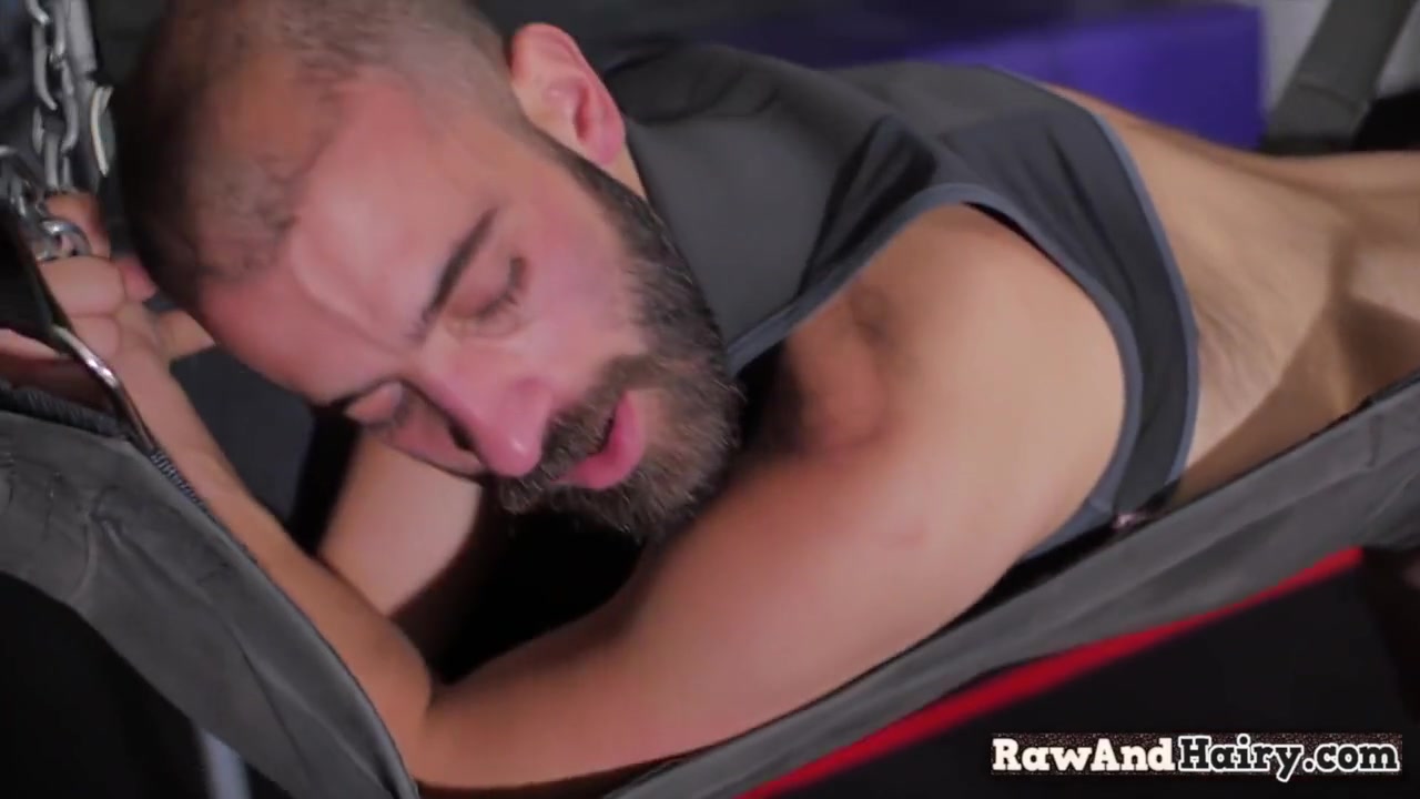 Hairy Bear Gets Ass Fucked After Ass-licked