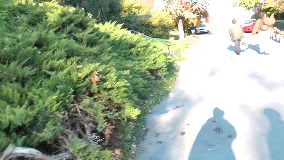 Slut gets fucked in a public park really hard