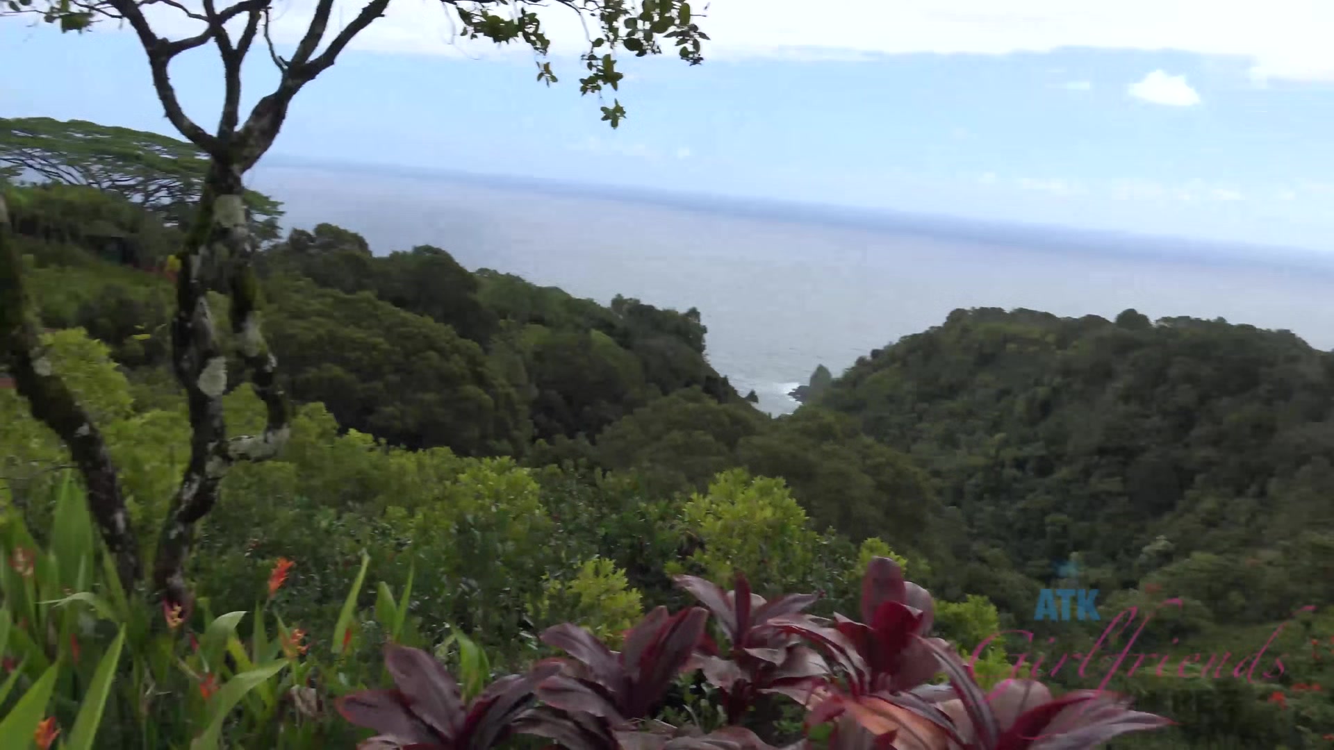 Virtual Vacation Hawaii With Kate England 1/9