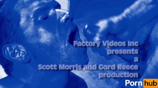 Cum Suckers 22 - Scene 1