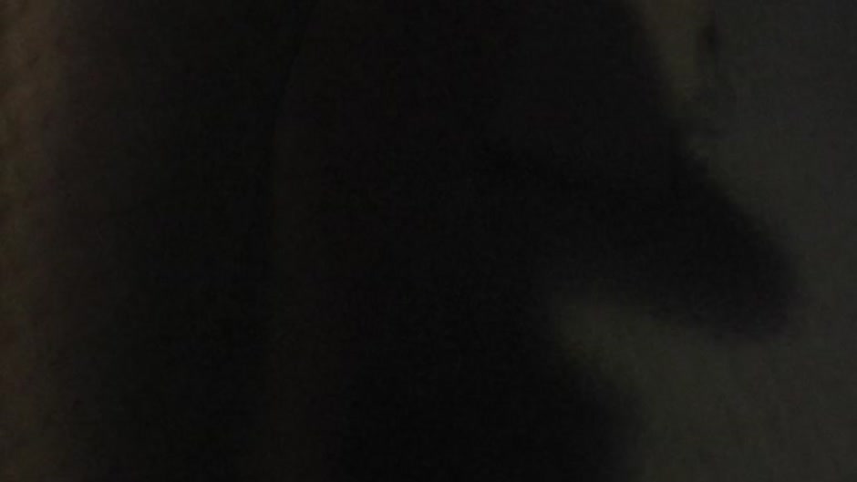Cofi in amateur sex video of a couple shagging in a toilet