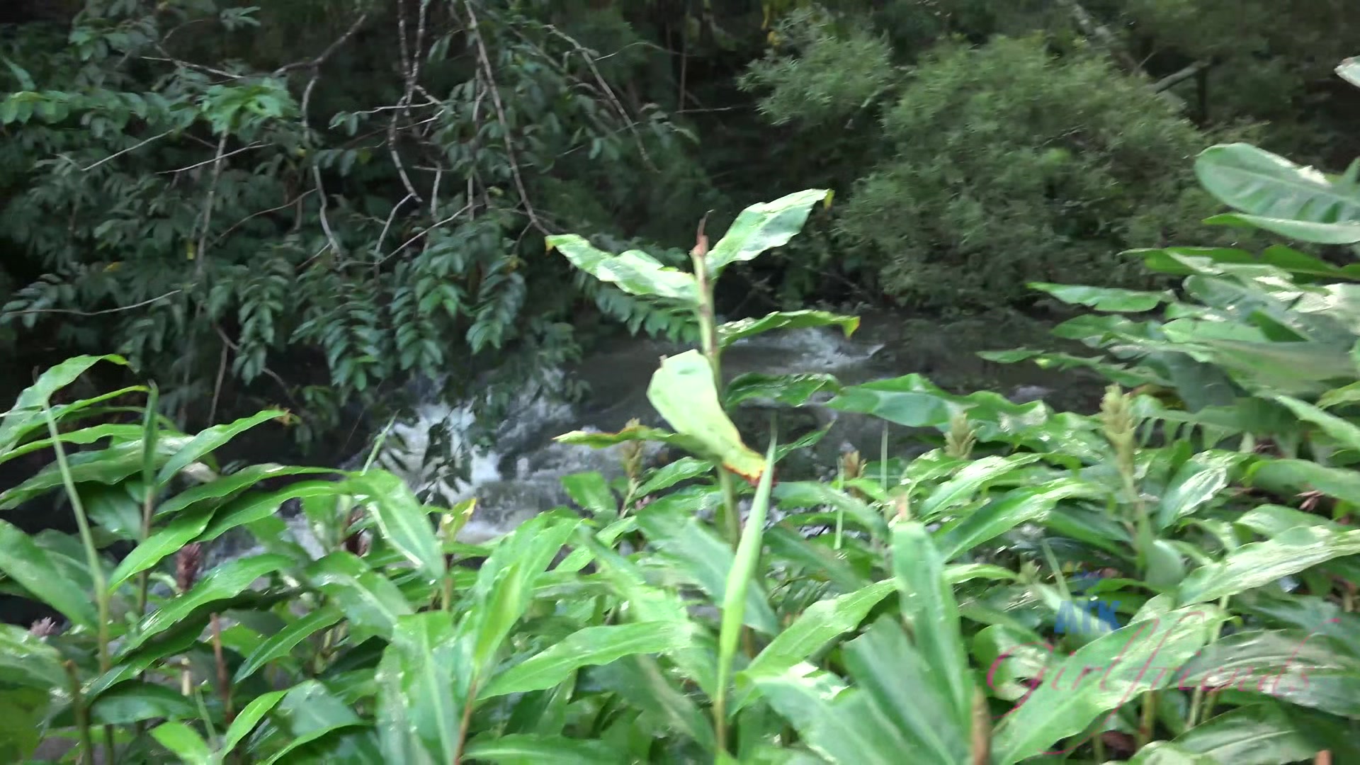 Virtual Vacation In Hawaii With Rachel James Part 4