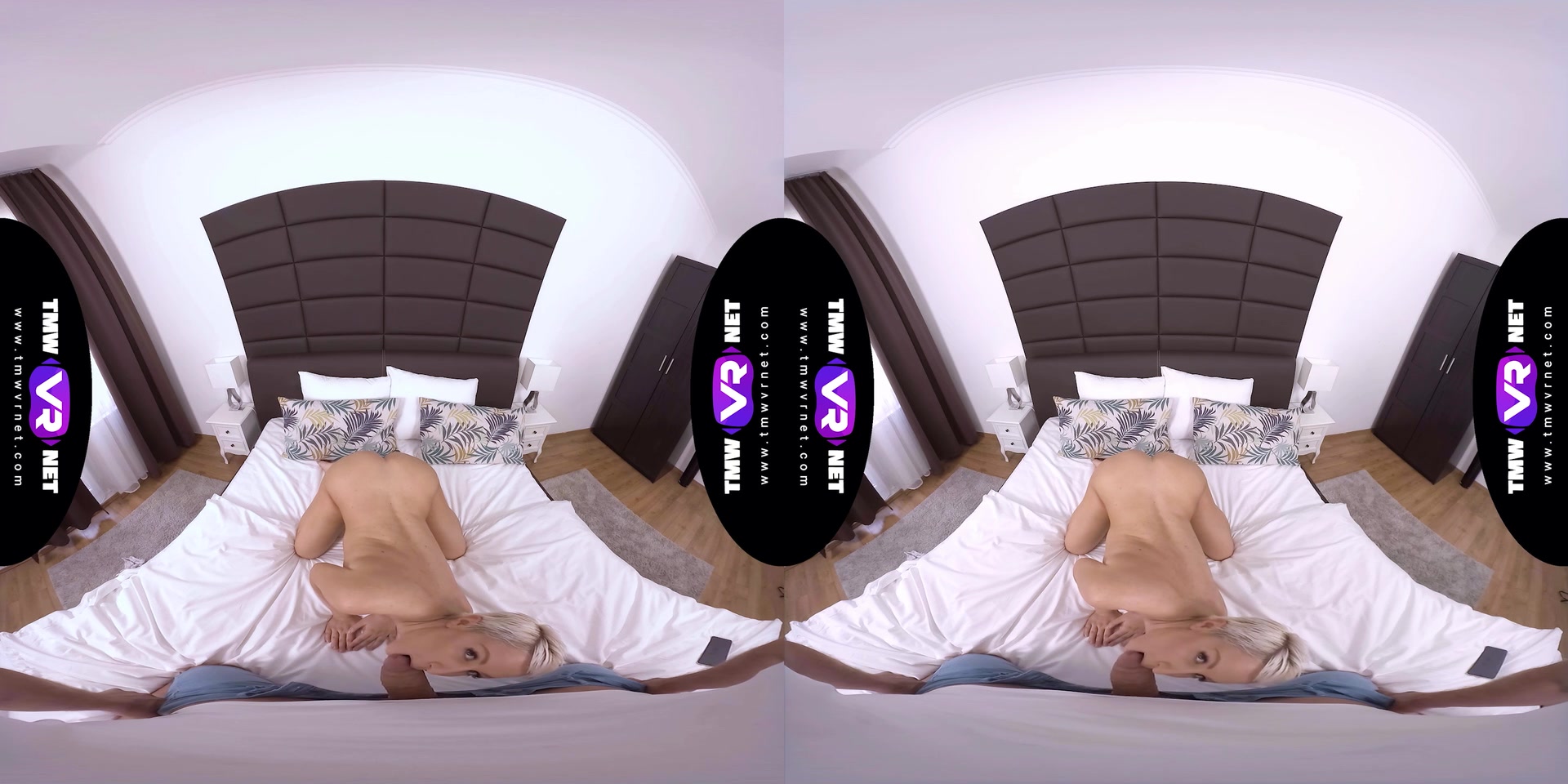 When work and pleasure team up - TmwVRnet