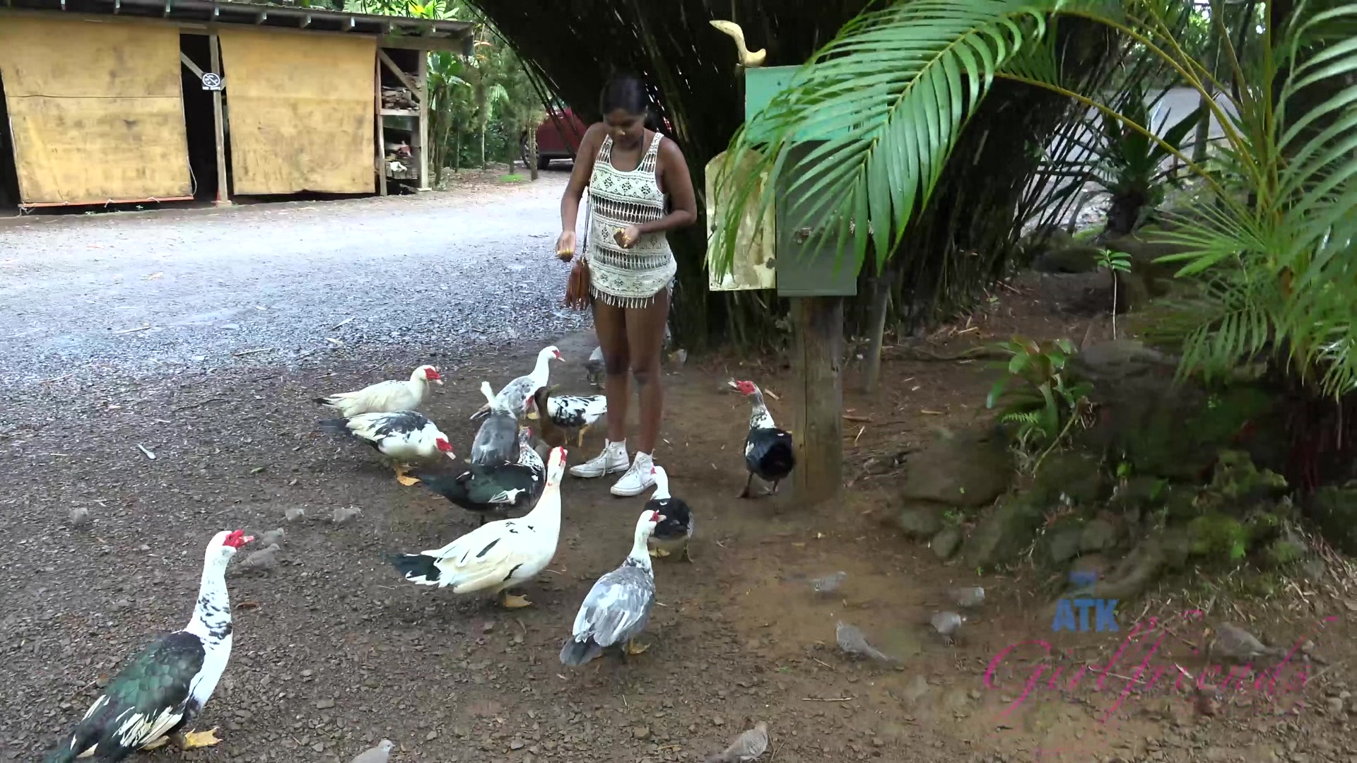 Virtual Vacation In Hawaii With Yara Skye 7/11