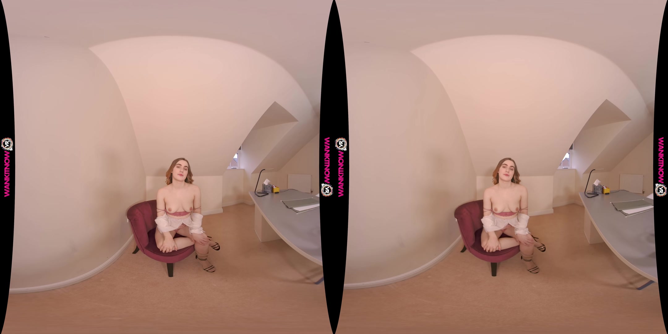 Wank Thief - WankitnowVR