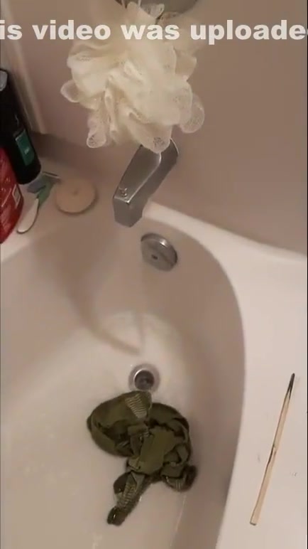 Princess Vixen punished with cold shower