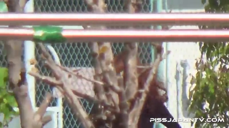 Piddle Here, Puddle There 3 - PissJapanTV