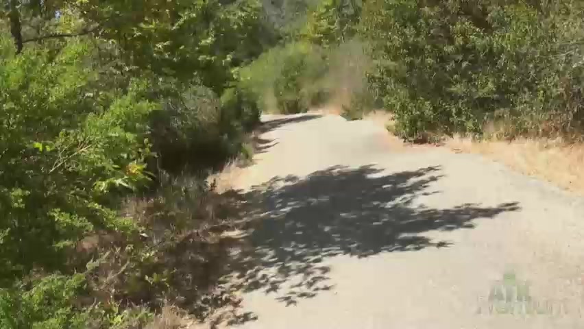 ATKGirlfriends video: Ana Foxxx outdoor fun at the beach