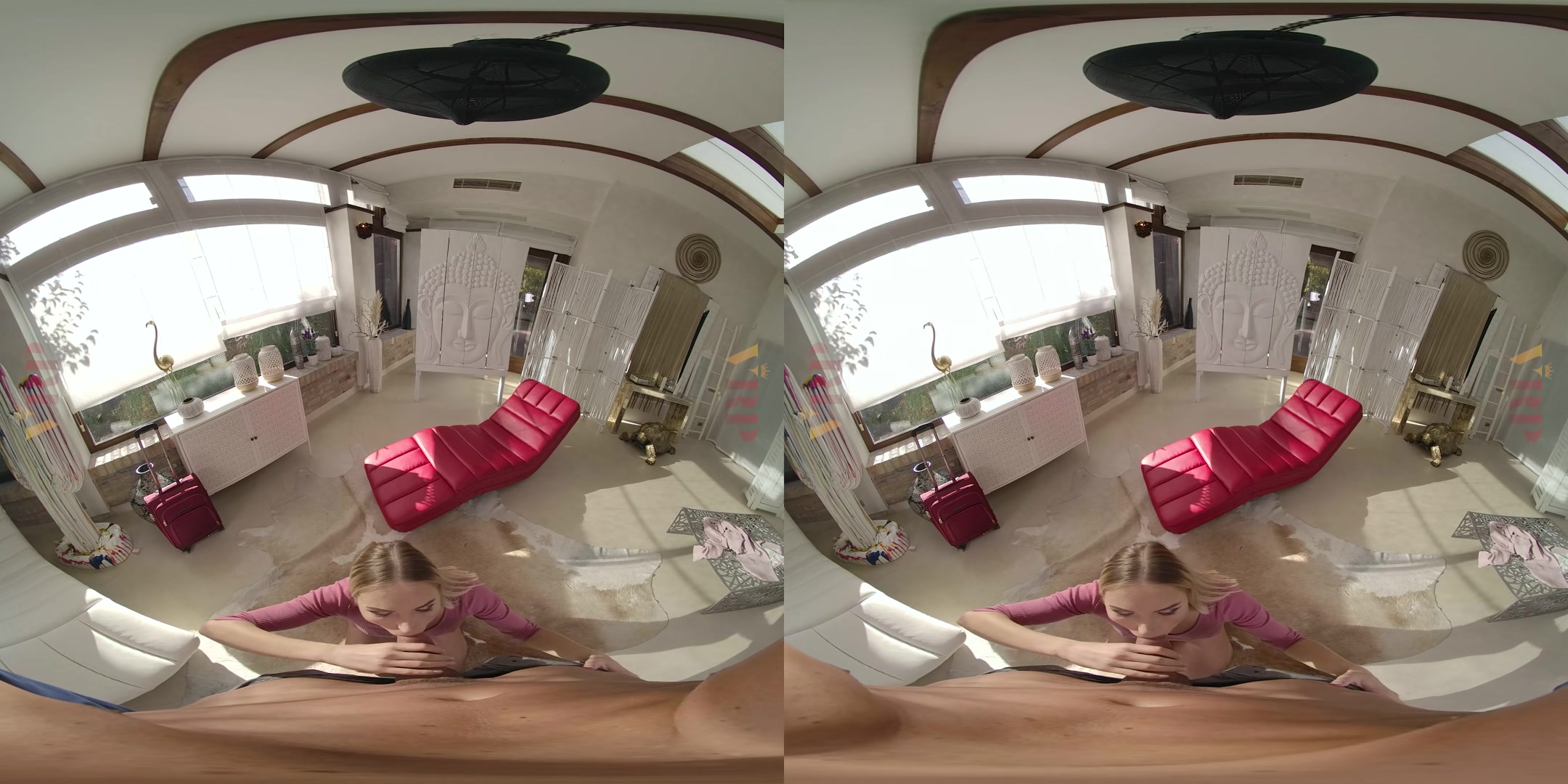 Anal-Ize This 2 - VRPFilms