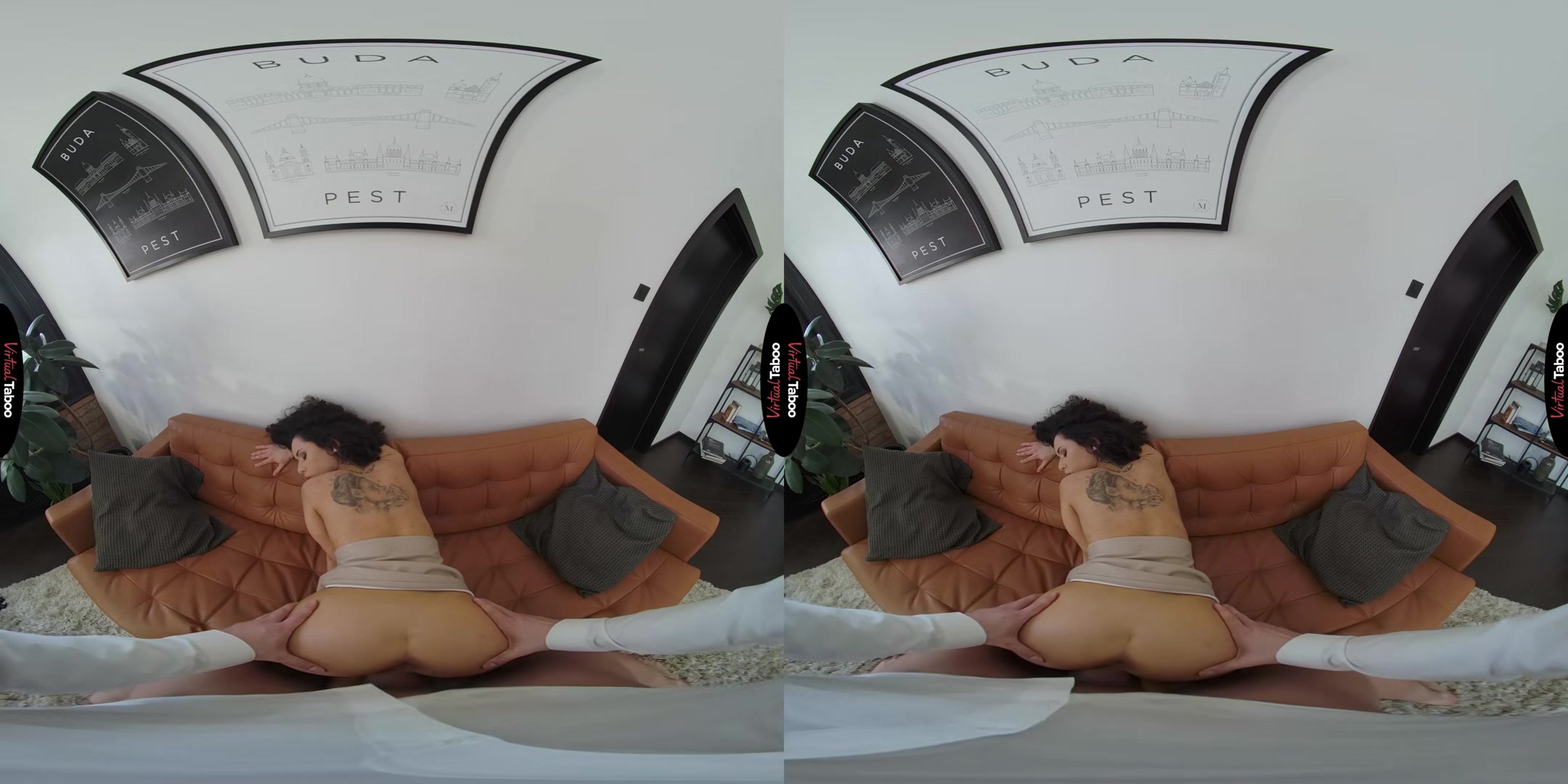 Today We Learn Anal