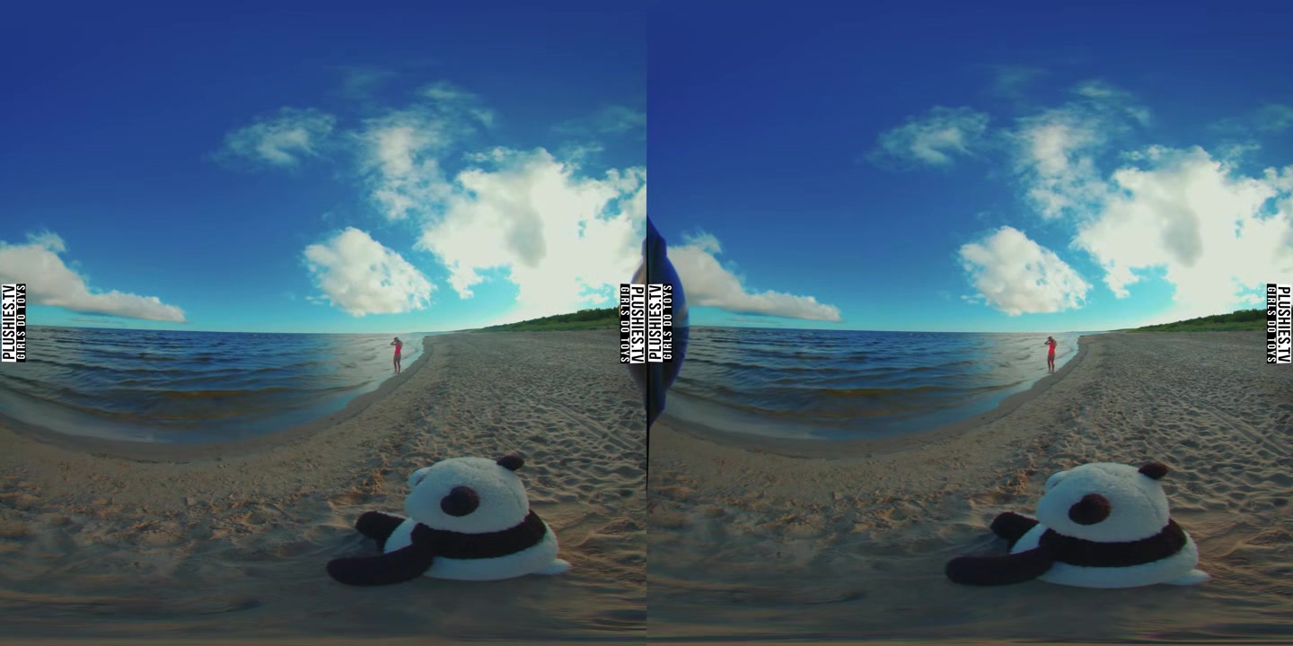 Beach Day In Poland - PlushiesVR