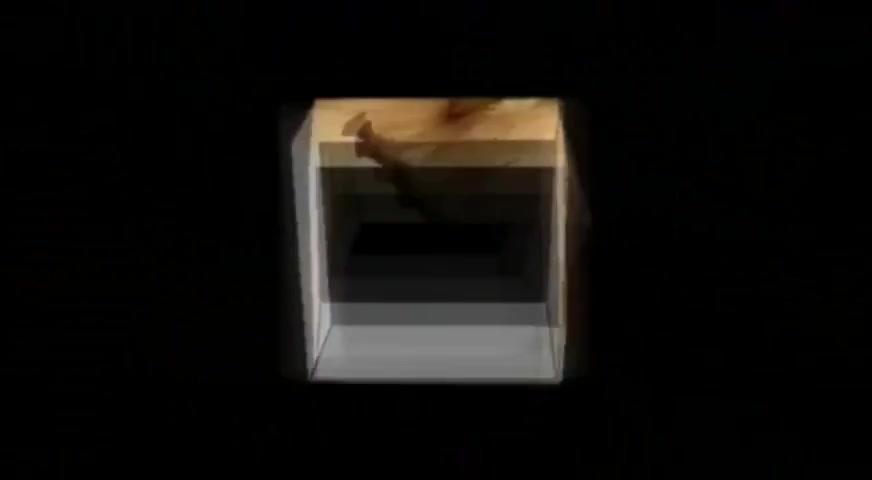 Japanese Amateur Movie