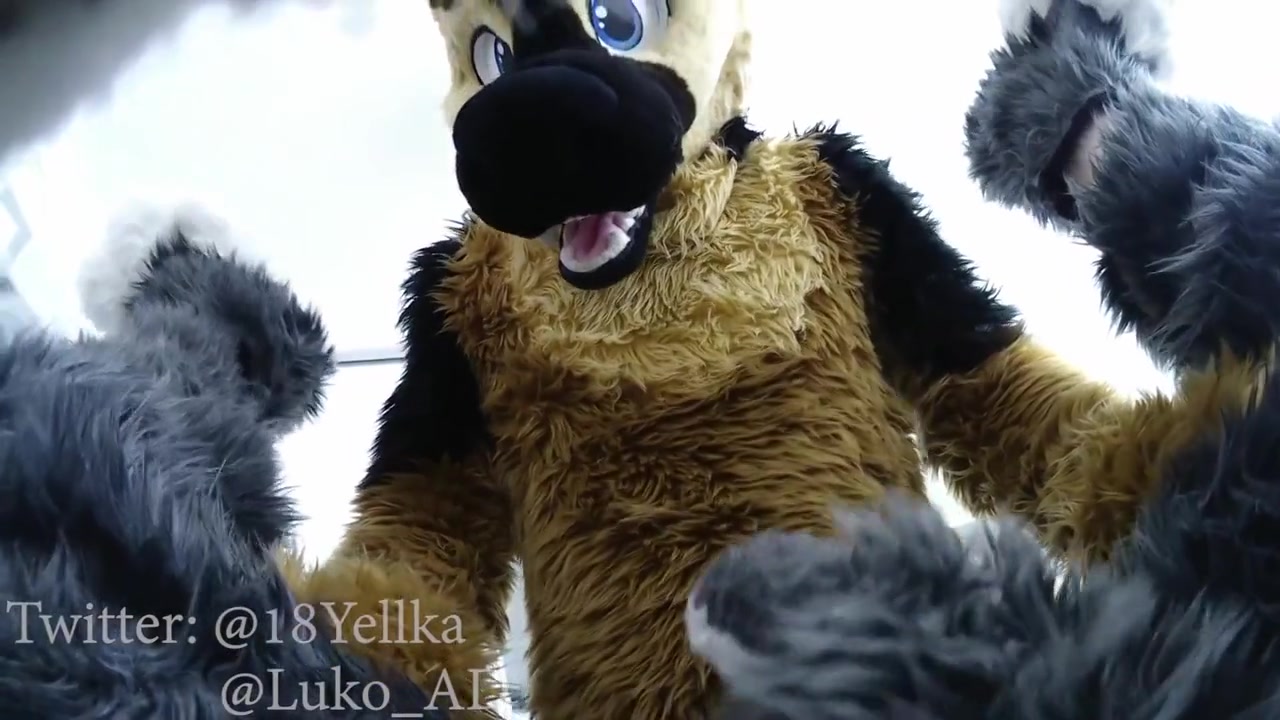 Hot German Shepherd Fucks Cute Gray Submissive Bunny murrsuit Porn