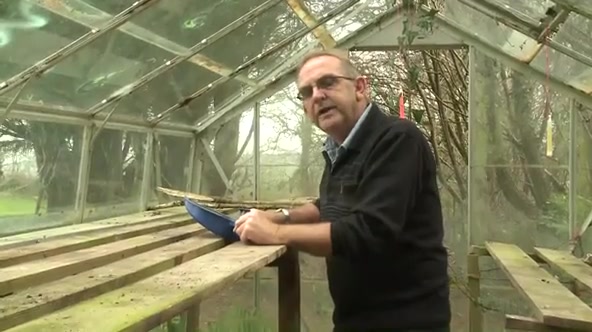 Greenhouse Games Mp4