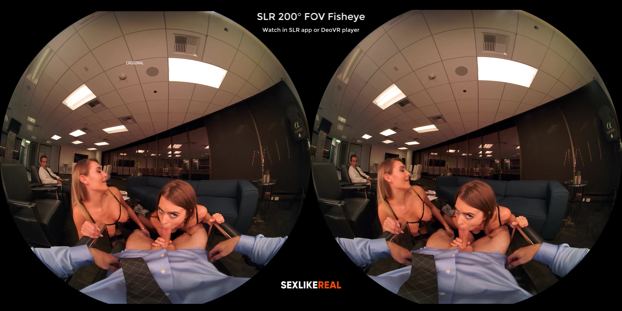 Upscale Test Comparison - Slr Labs