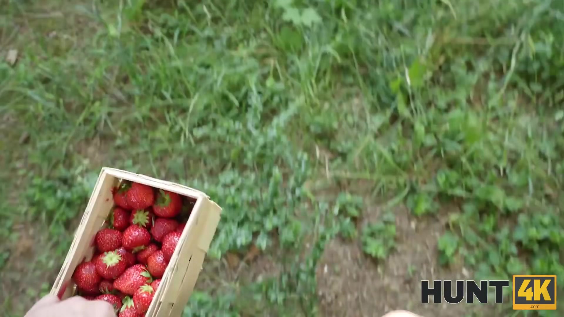 HUNT4K. Hard cock for a berry babe