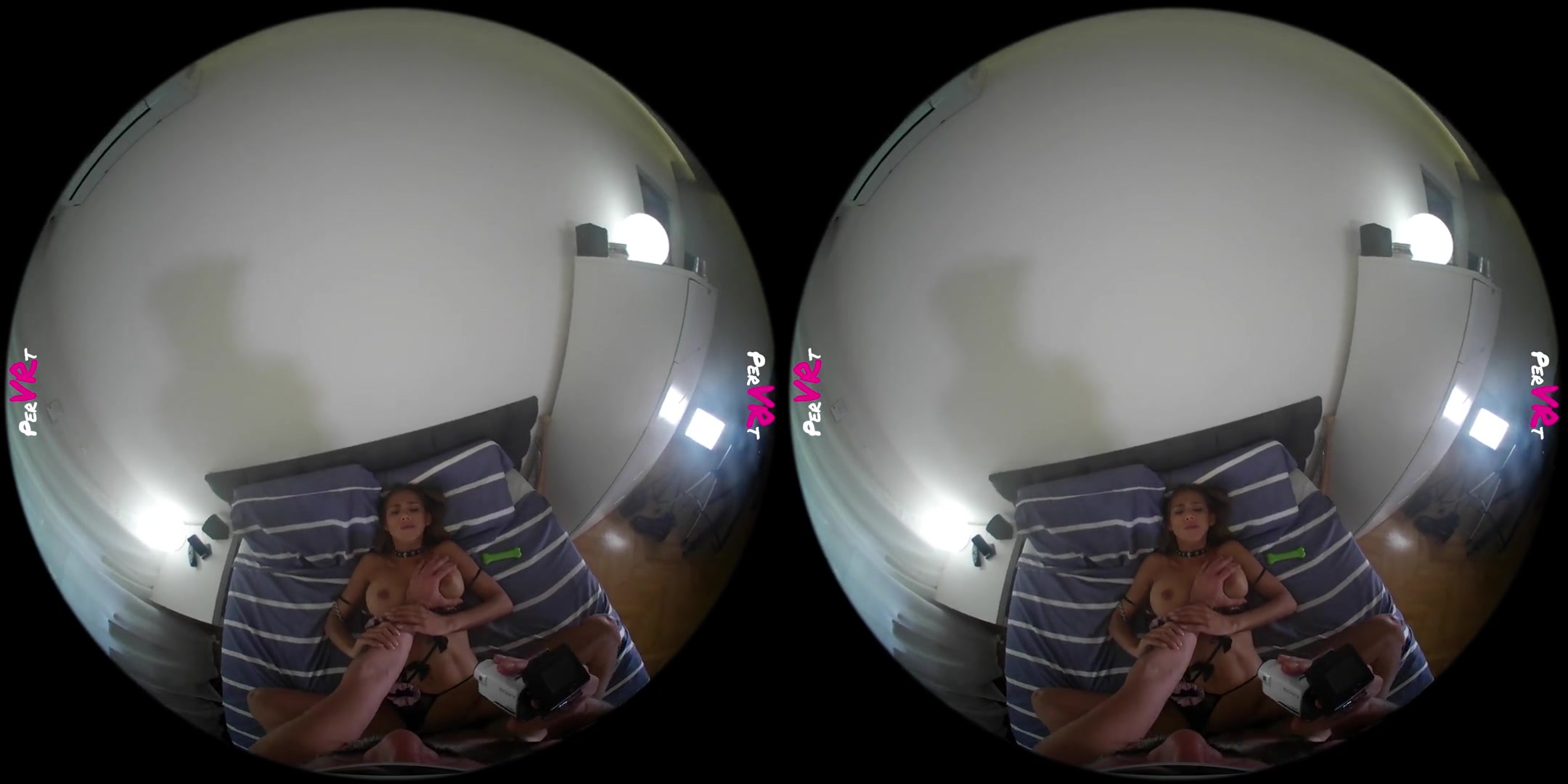 Veronica Leal in A Good Doggie Squirts a Lot POV - perVRt