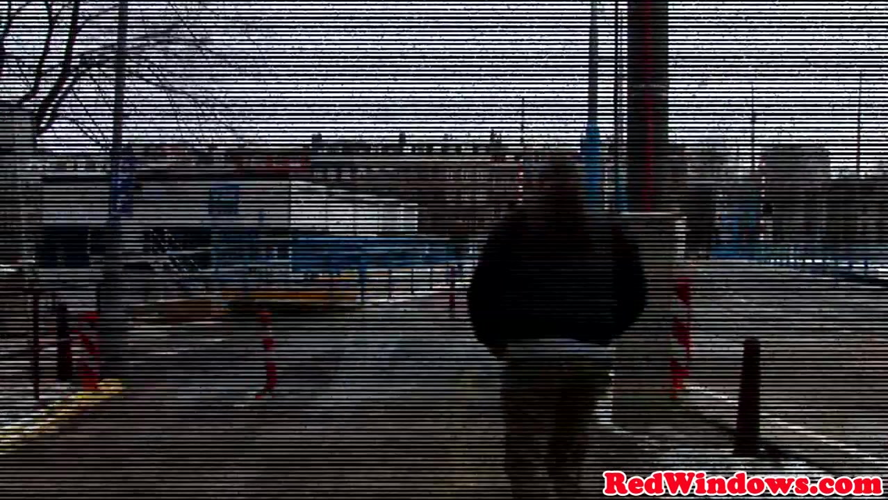 Doggystyled amsterdam hooker fucks tourist