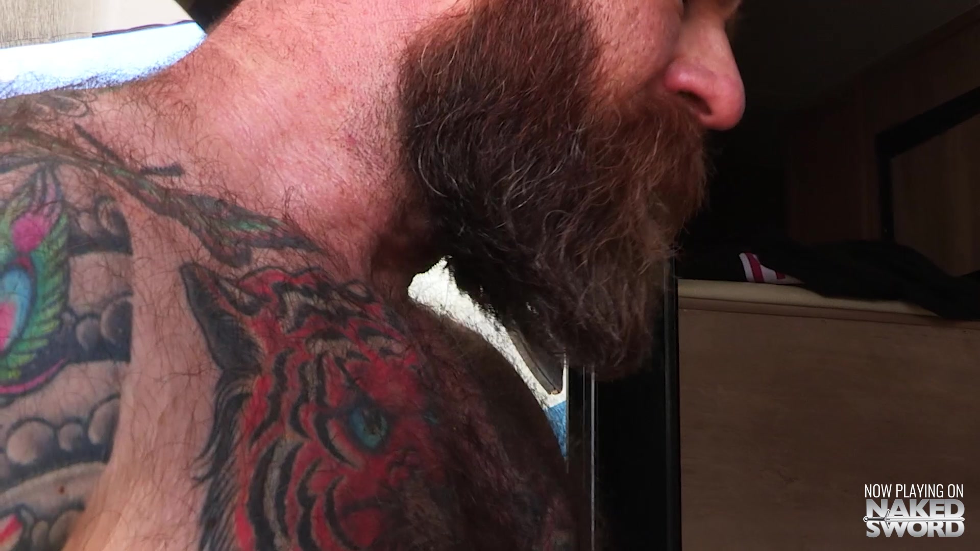 Trailer Trash Boys Vol. 1: TV Repair - Trenton Ducati