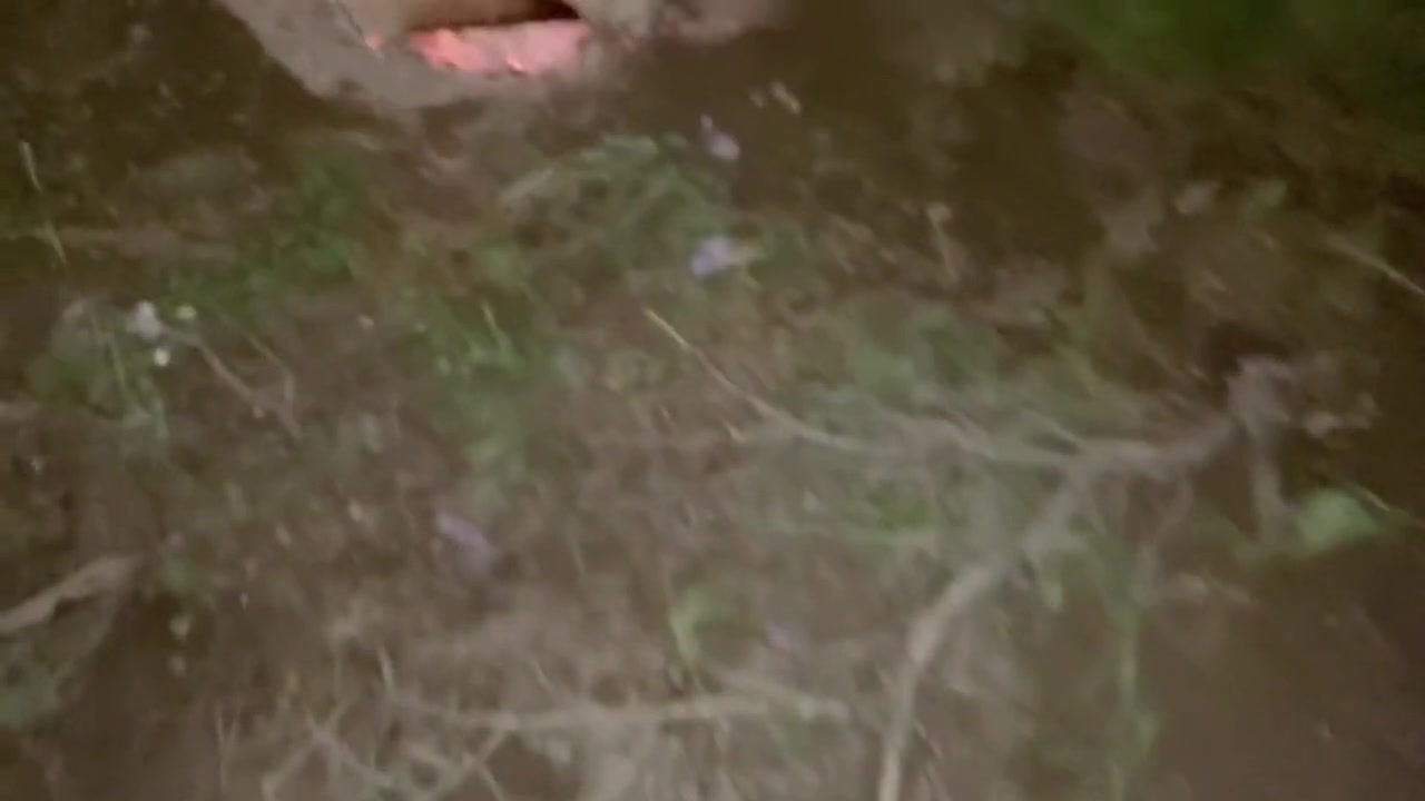 Camping Adventure