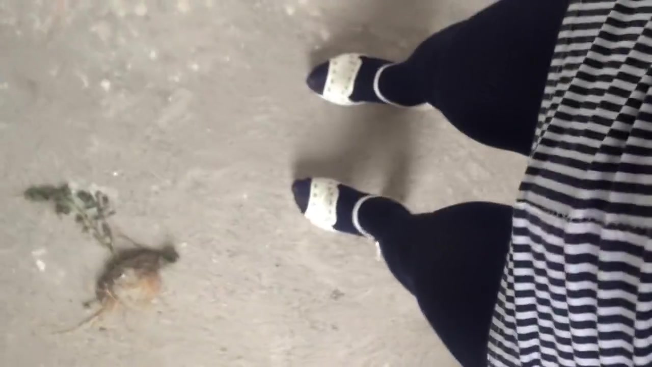 SHEMALE MASTURBATING IN PUBLIC