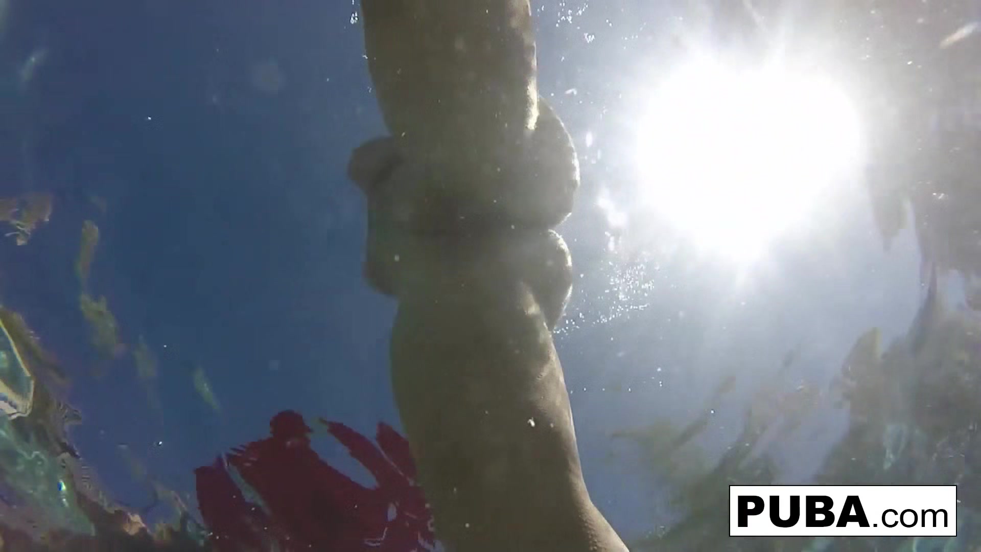Olivia Austin : Olivia Austin has some summer fun in the pool