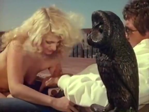 Kristara Barrington, Honey Wilder, Herschel Savage in vintage fuck movie