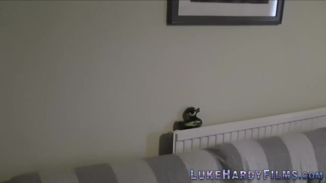 Sluts get pussies railed by Luke Hardy