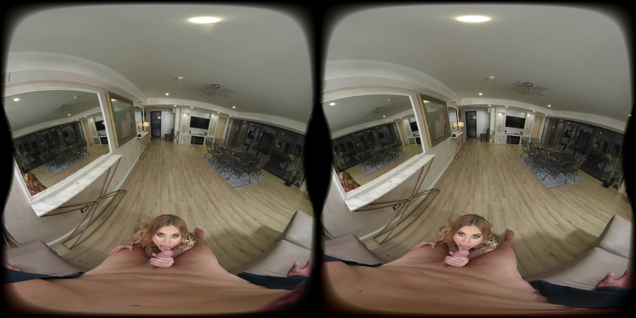 Political Assistance - Vroomed - Vr Porn Video