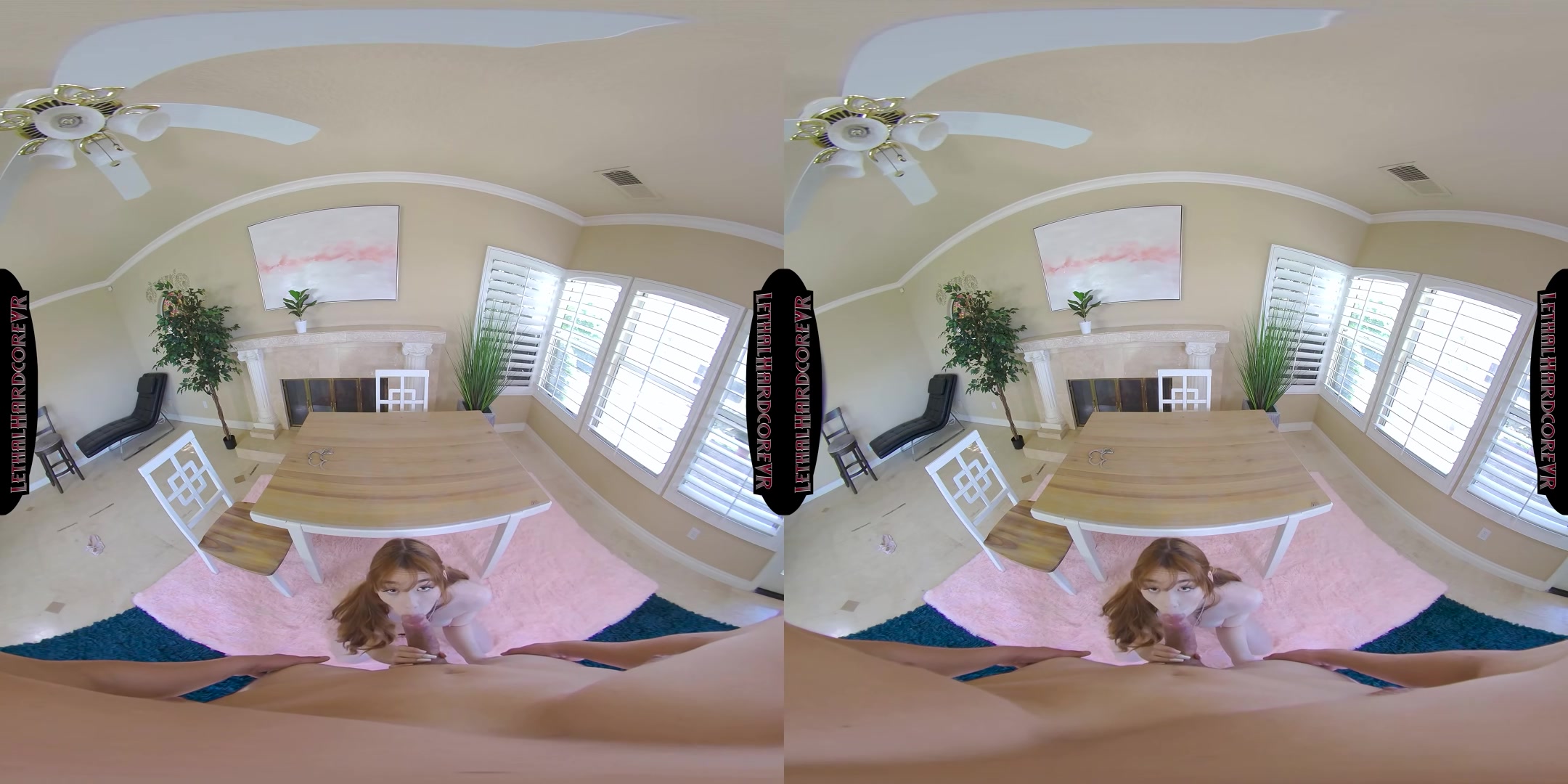Michelle Gets Fucked By Her Probation Officer - LethalHardcoreVR
