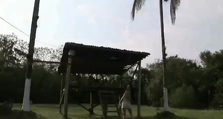 This pervert shemale is a real vegetarian
