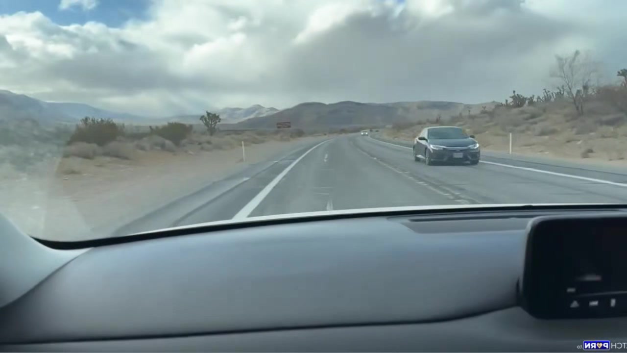 Stepmom loves a good road trip