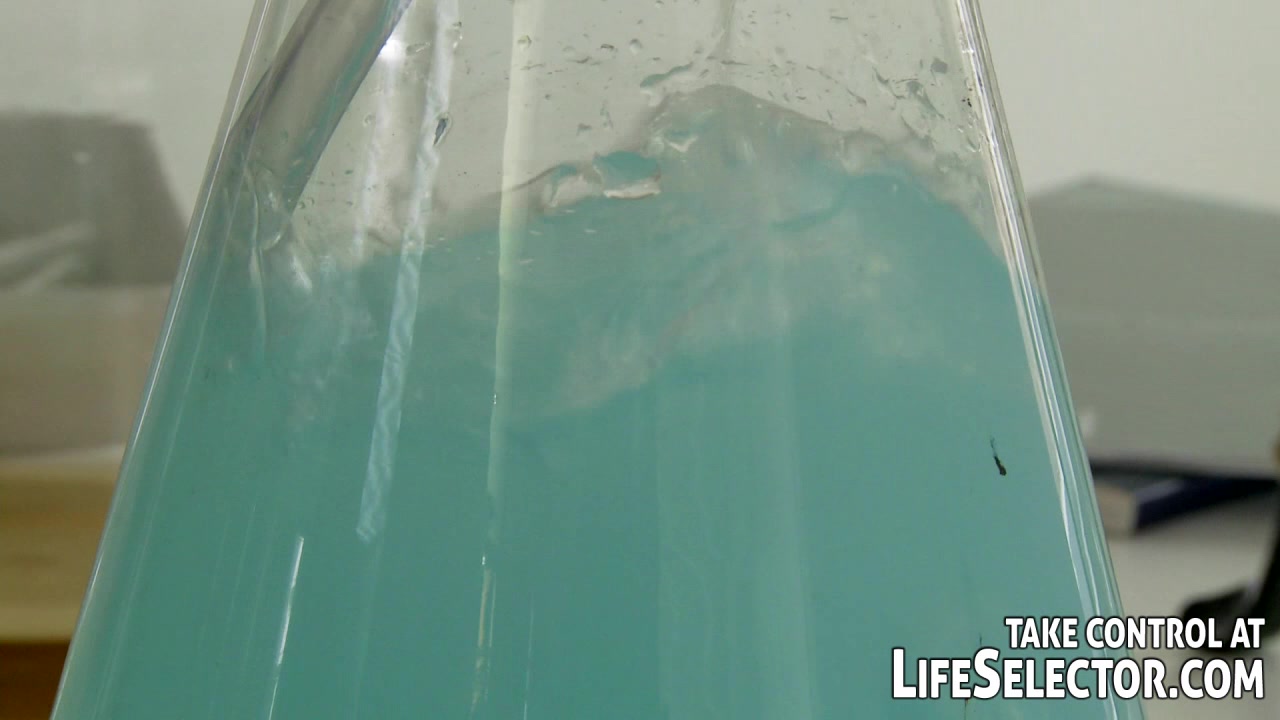 The secret formula - LifeSelector