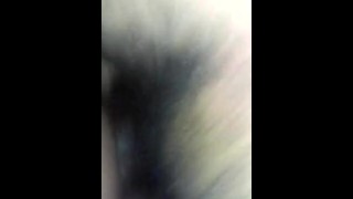 My first video i put on xvids