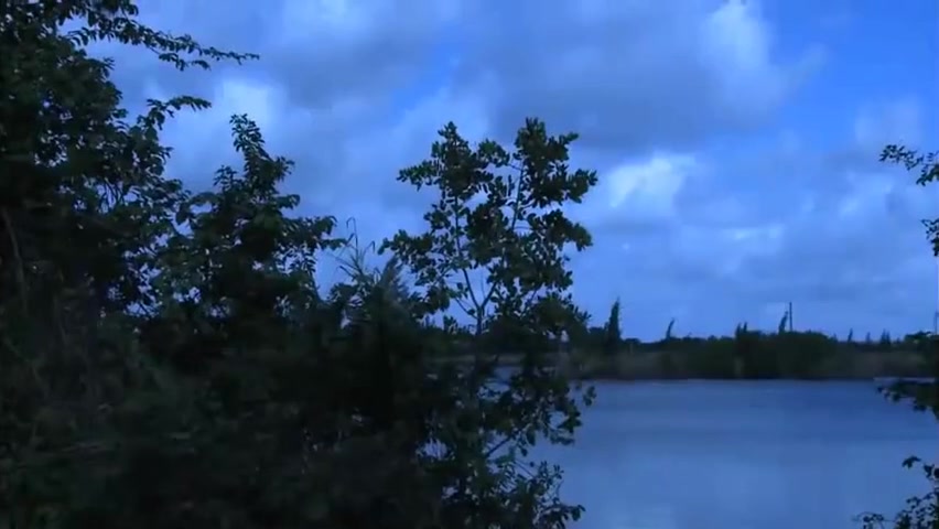 Stepdad Takes A Fishing Trip