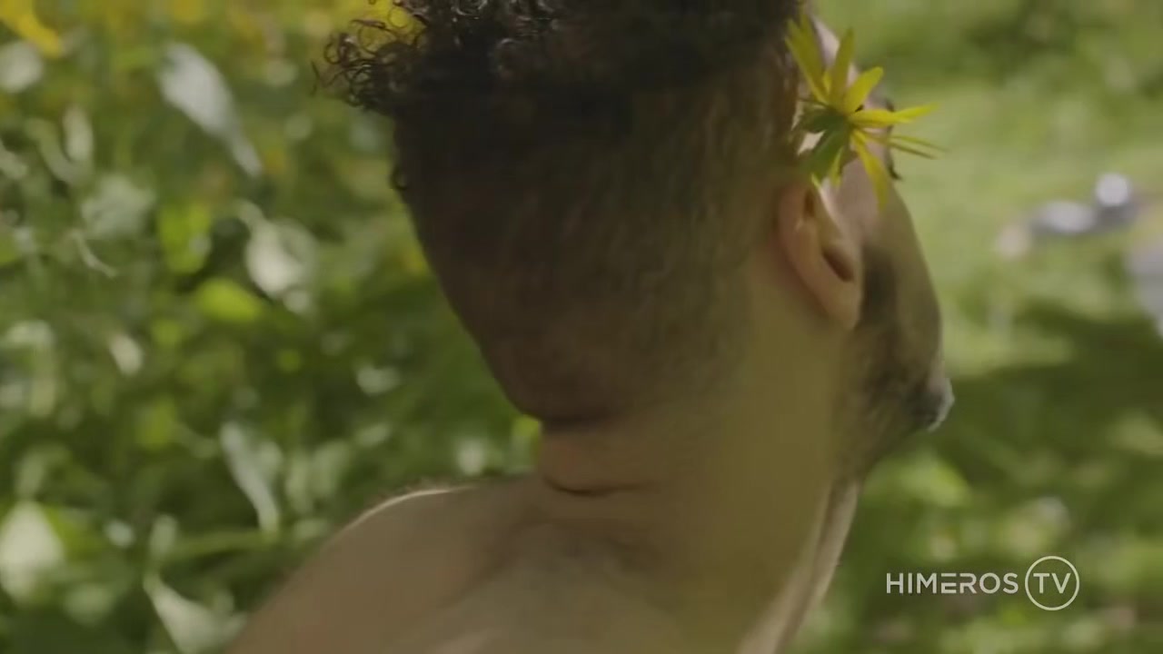 A Porn Idyll Fpo