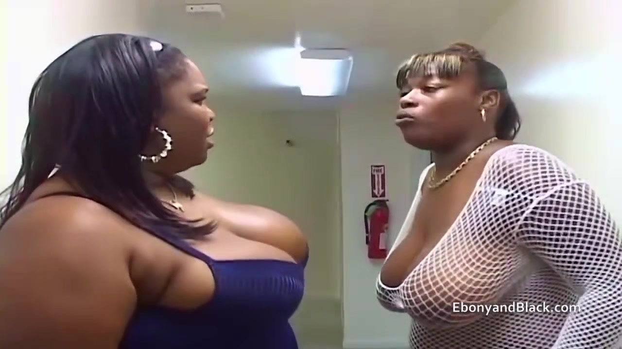 Heavyweight Black BBWs Suck on White Cock