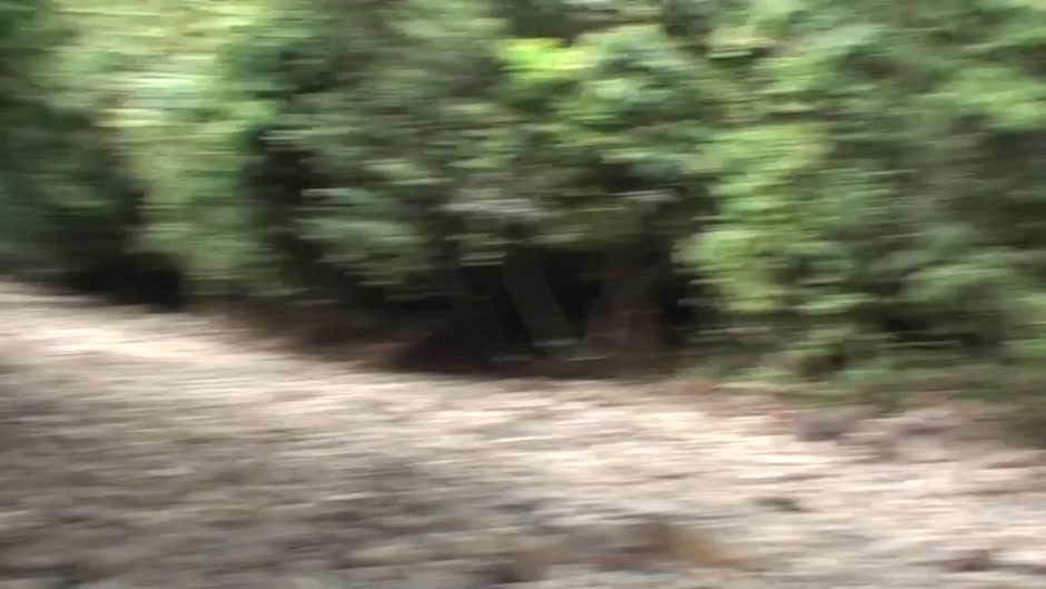 Anne in outdoor sex scene with a lovely-looking babe