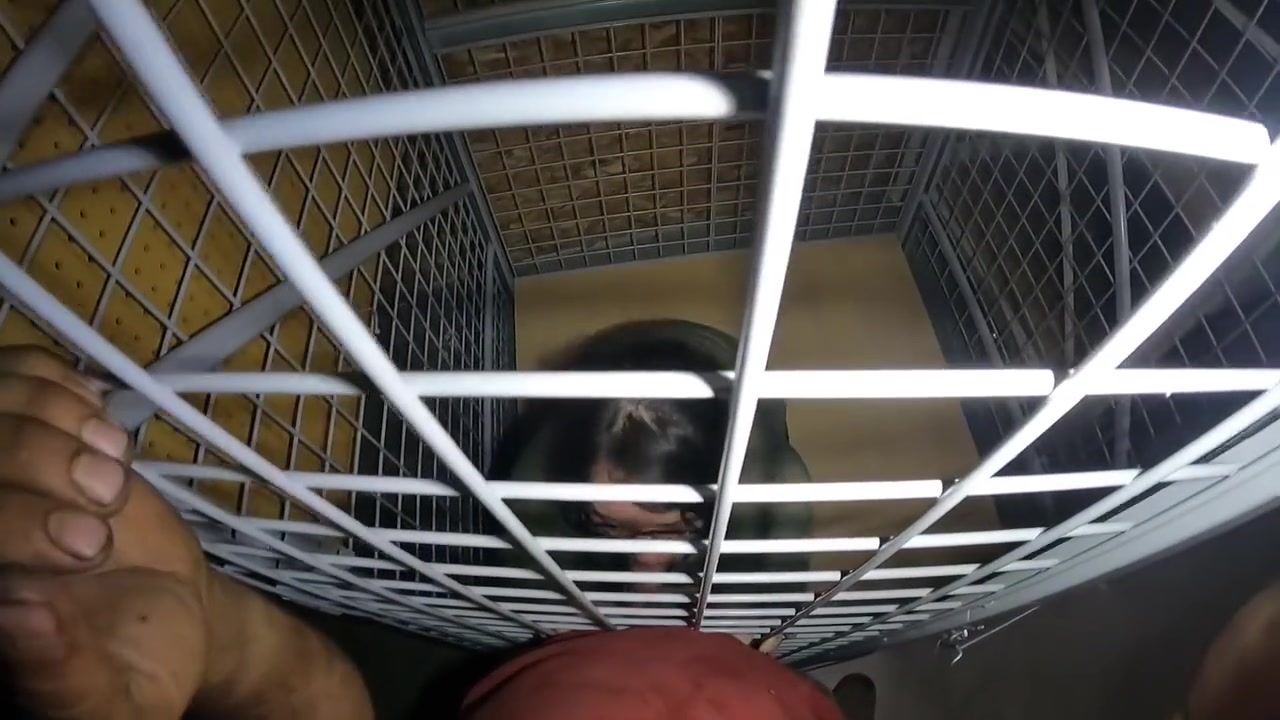 Caged Teen 18+ Asian Anybody