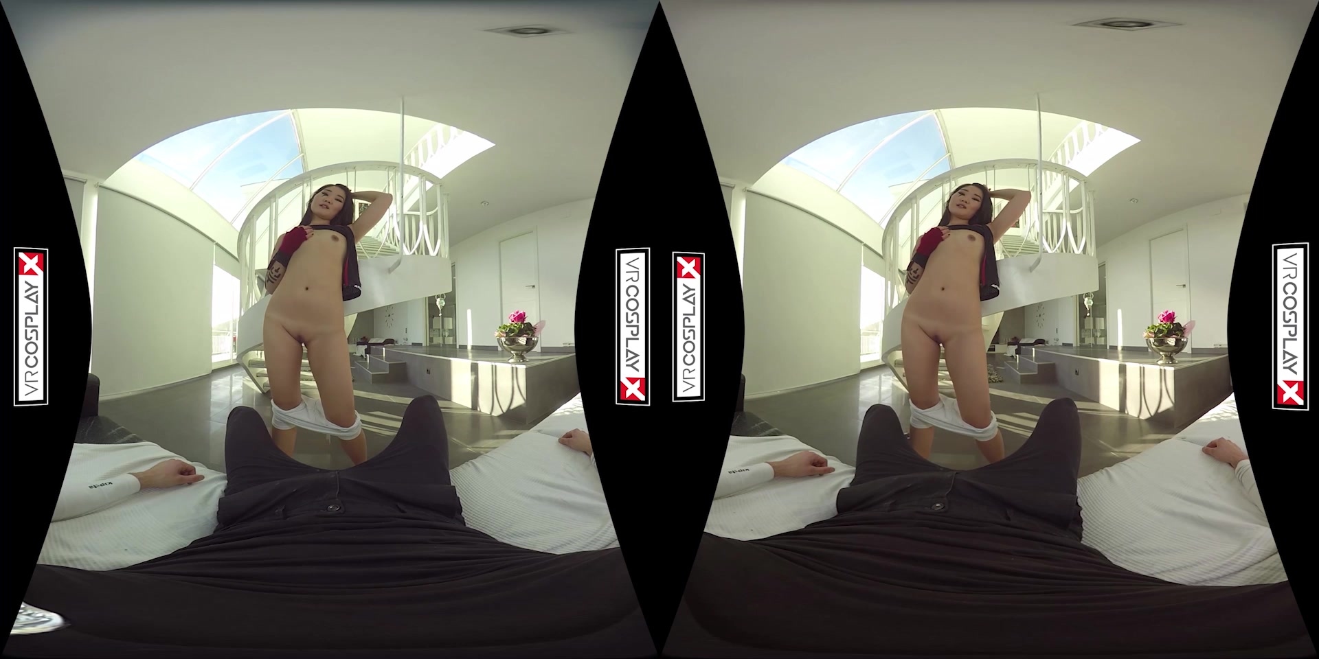 Mirror's Edge A XXX Parody