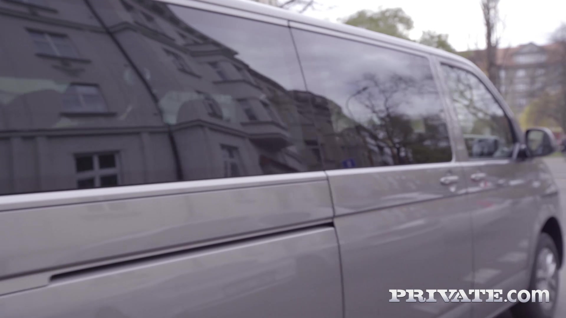 Dominica Phoenix takes interracial anal without leaving the taxi - Private