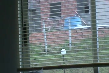 Strange guy is watching my walking naked girlfriend every day