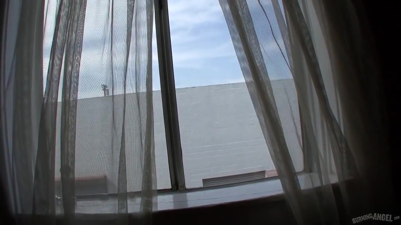 Coco Velvet - Coco Inthe Window