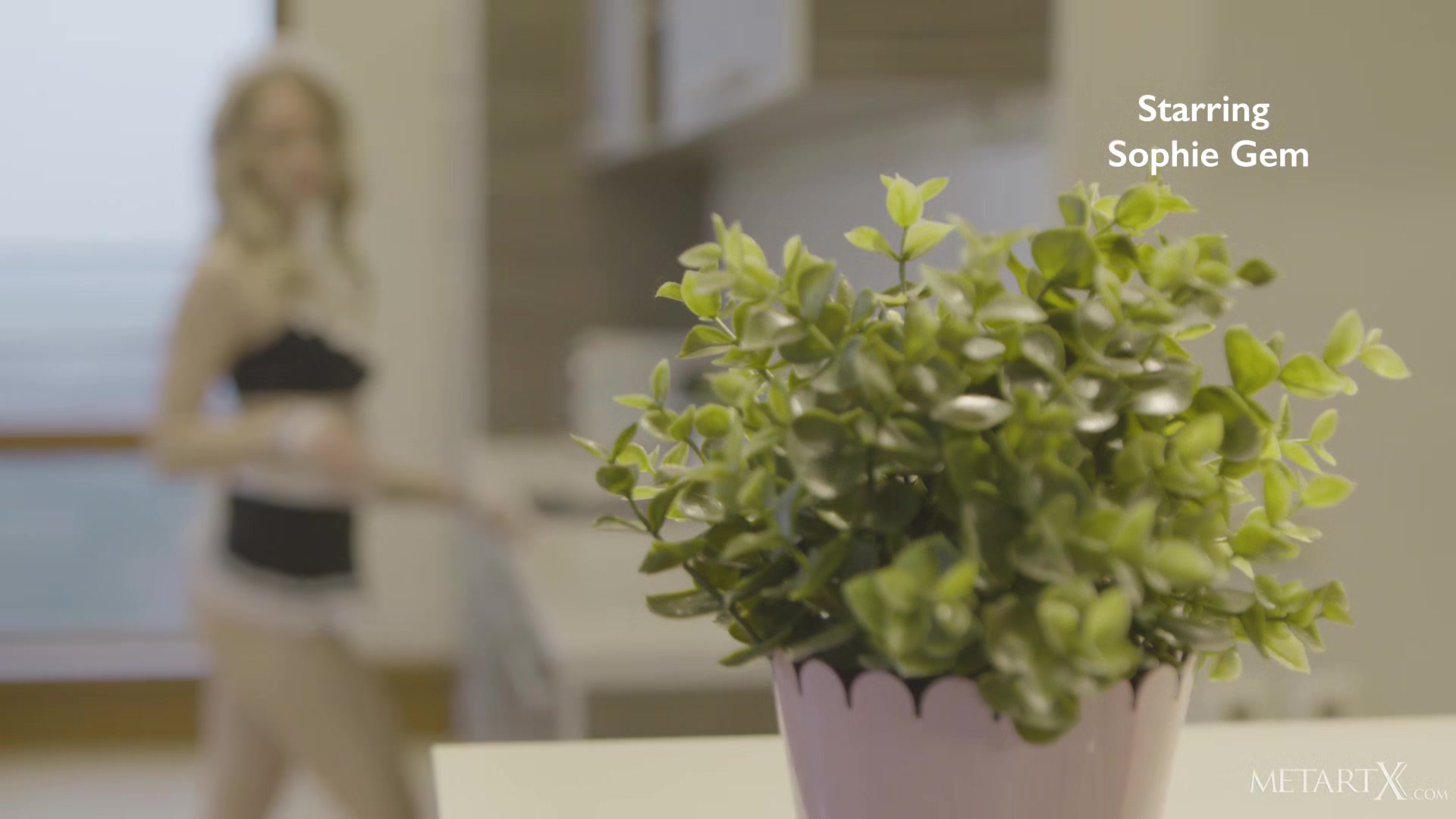 Cleaning Service 2 - Sophie Gem - MetartX