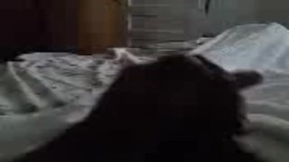 Horny Jamaican