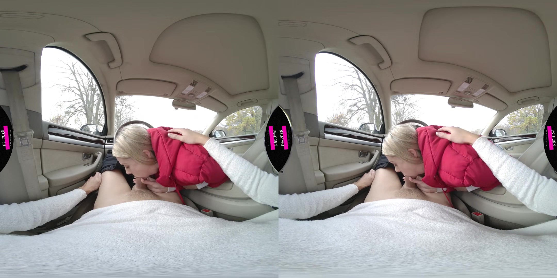 Sex In The Car With Adriana