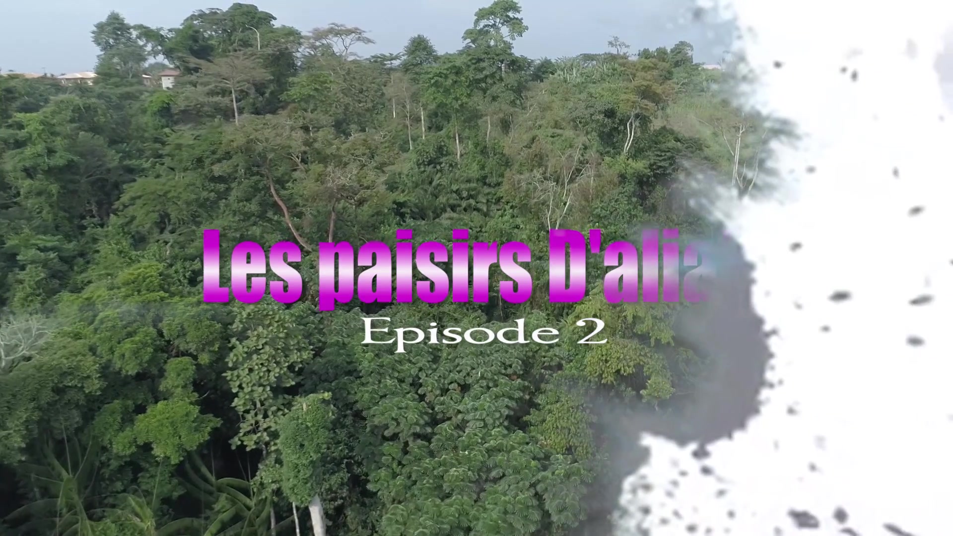 Les Plaisirs Daliah 2 - Sex Movies Featuring Africansexglobe